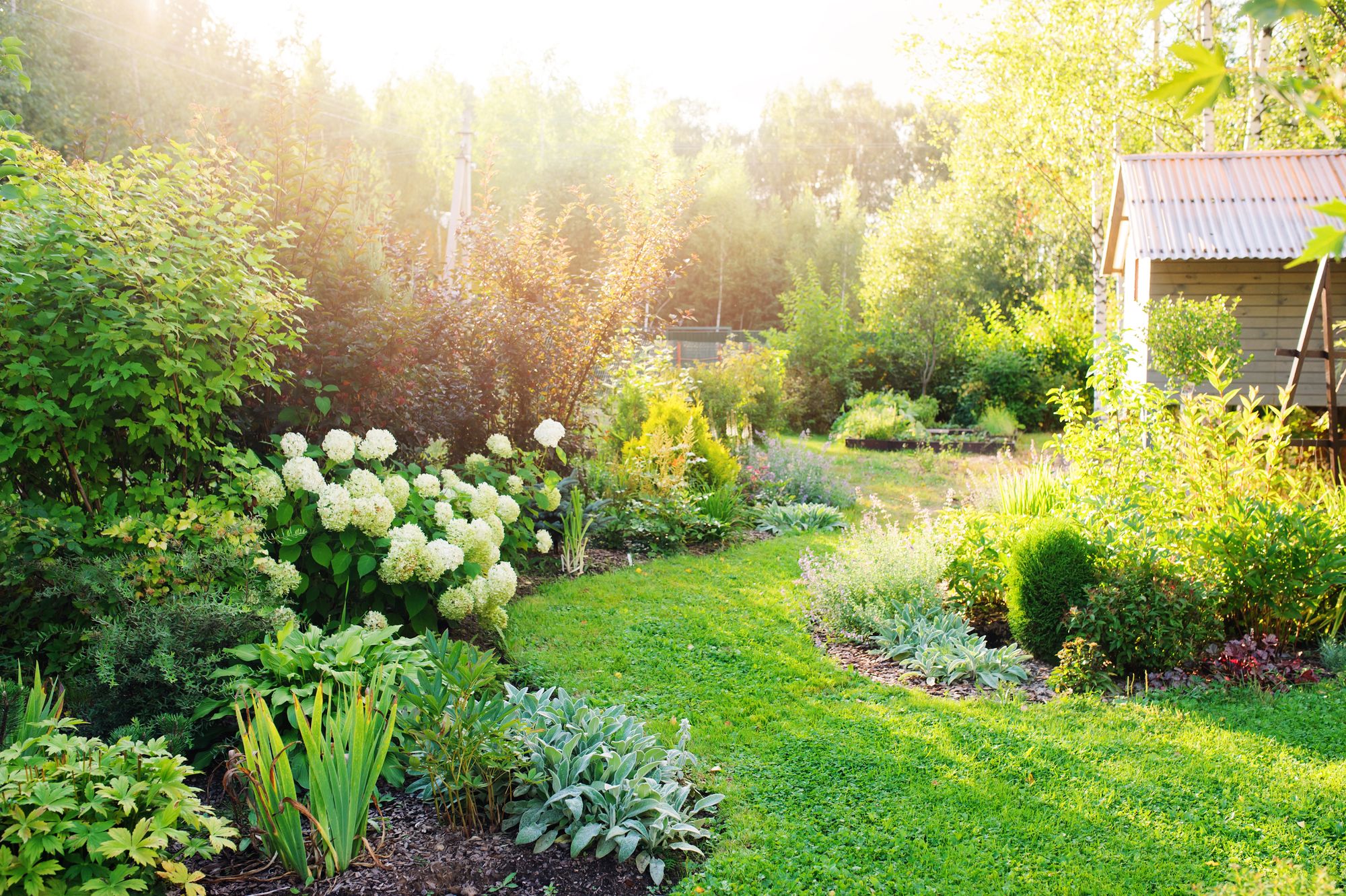 Gepflegter Garten im Sommer